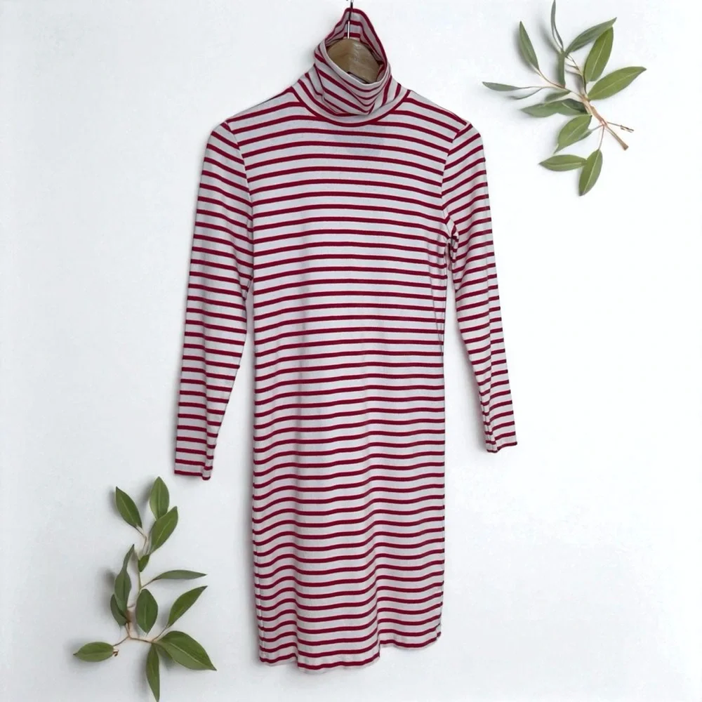 J. Crew Striped Turtleneck Dress